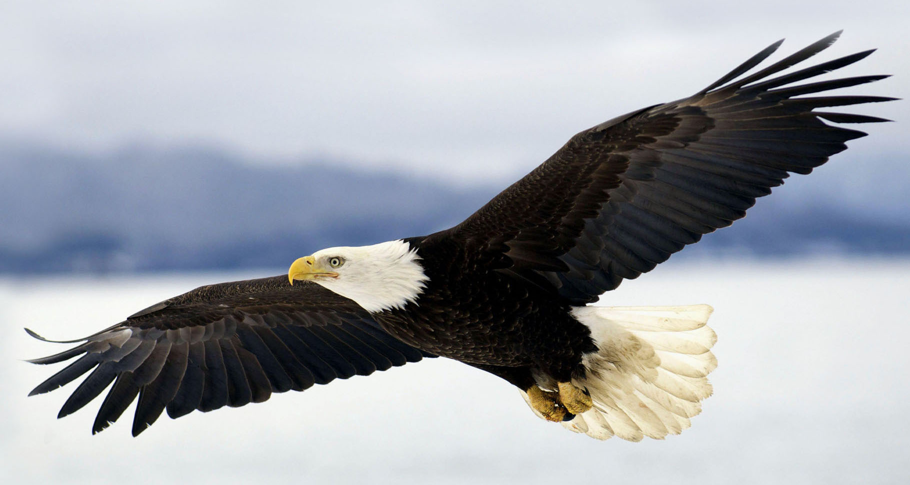 EAGLE Taxiservice Grafenwoehr - Taxi near me